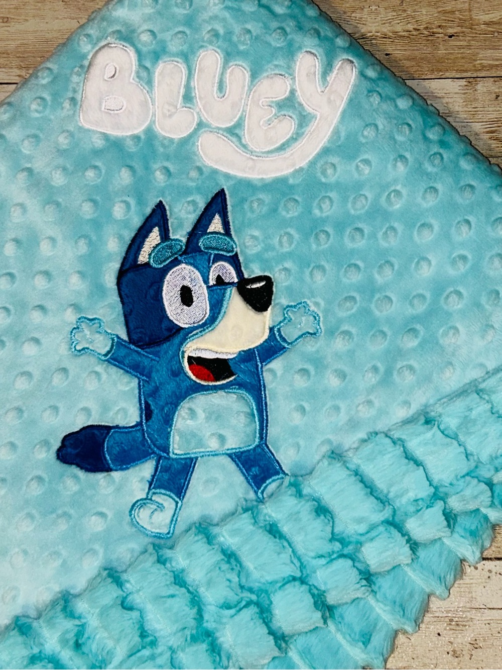 Handmade Minky Bluey Toddler Blanket- 28x30- Plush and Cozy